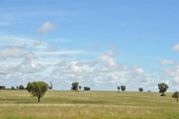 Seventh view of Homely rural property listing, "Banoon ", Nyngan NSW 2825