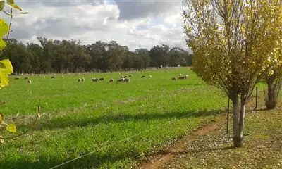 Seventh view of Homely rural property listing, Address available on request