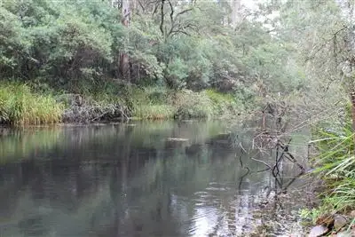 Second view of Homely rural property listing, 30 Warragun Lane, Braidwood NSW 2622