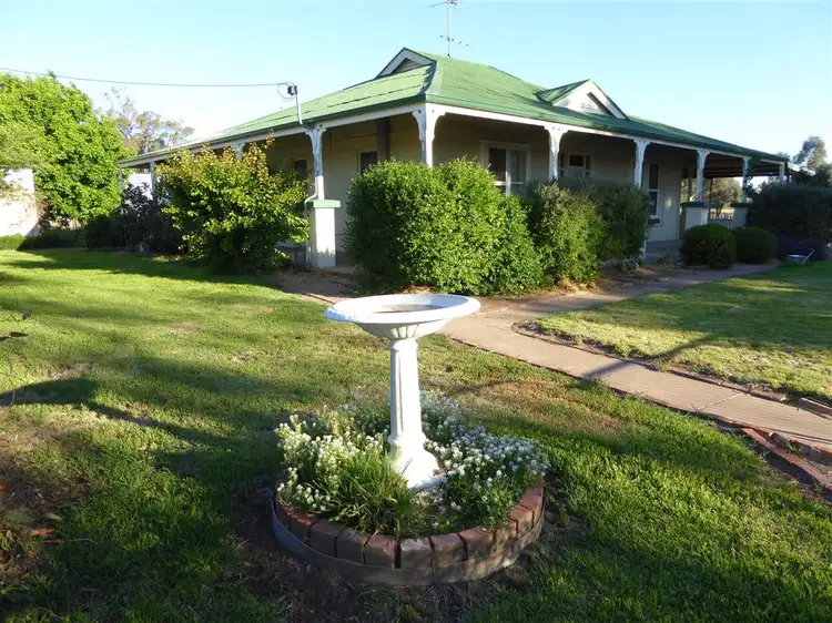 Main view of Homely rural property listing, 3946 Olympic Highway, Henty NSW 2658
