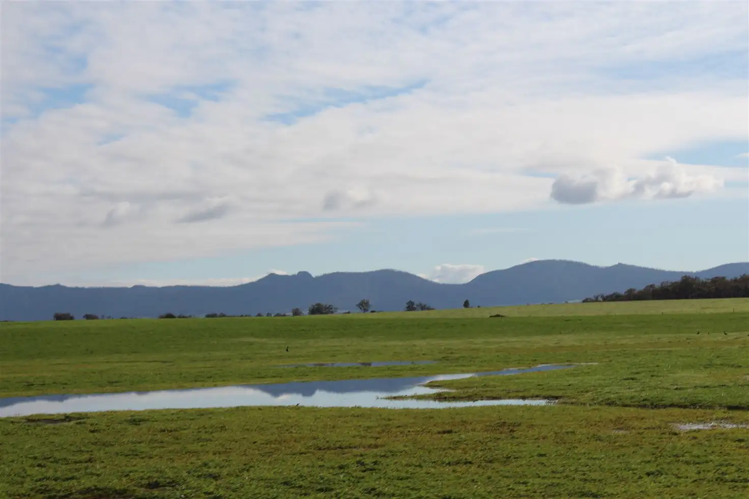 Main view of Homely rural property listing, 451 Yungup Road, Napier WA 6330
