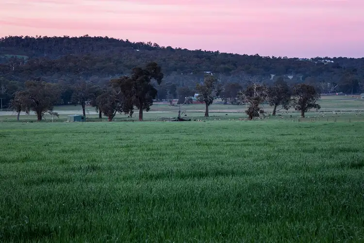 Second view of Homely land listing, Lot 10 Maine Anjou Drive, Lower Chittering WA 6084