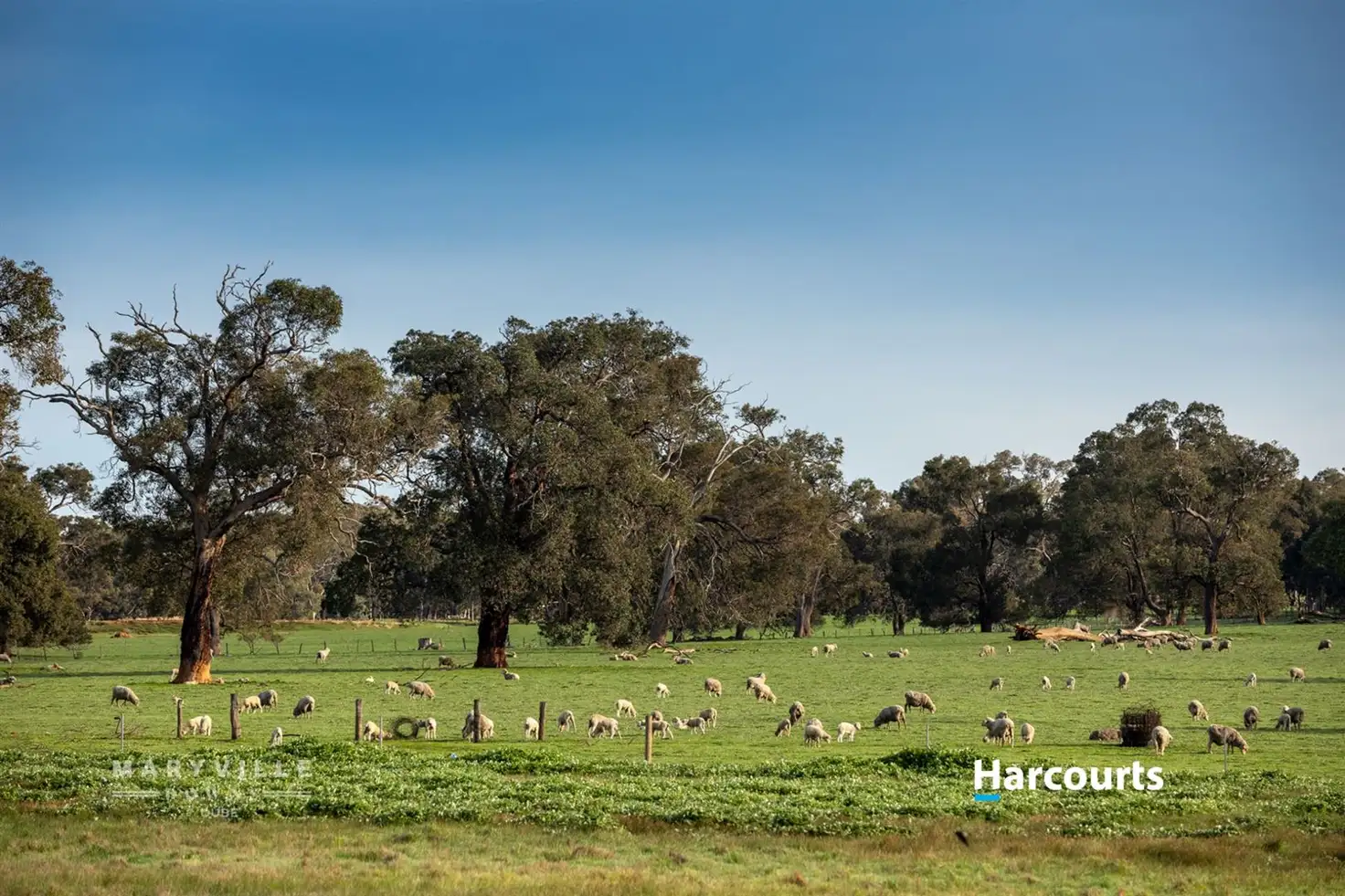 Main view of Homely land listing, Lot 4 Maine-Anjou Drive, Lower Chittering WA 6084
