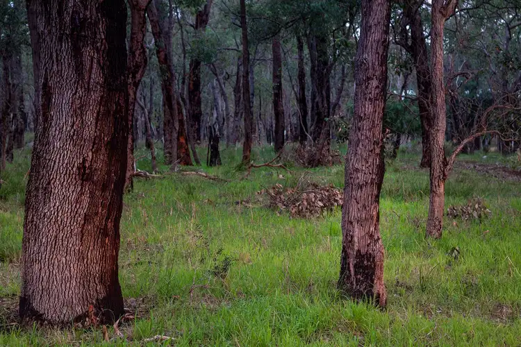 Fourth view of Homely land listing, Lot 4 Maine-Anjou Drive, Lower Chittering WA 6084