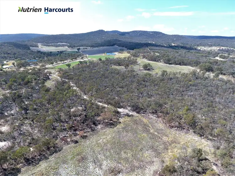 Second view of Homely rural property listing, Lot 33-34 Newman Lane, Glen Aplin QLD 4381