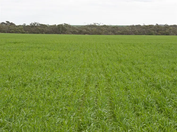 A1 Rocky Waterhole Road, Stansbury SA 5582