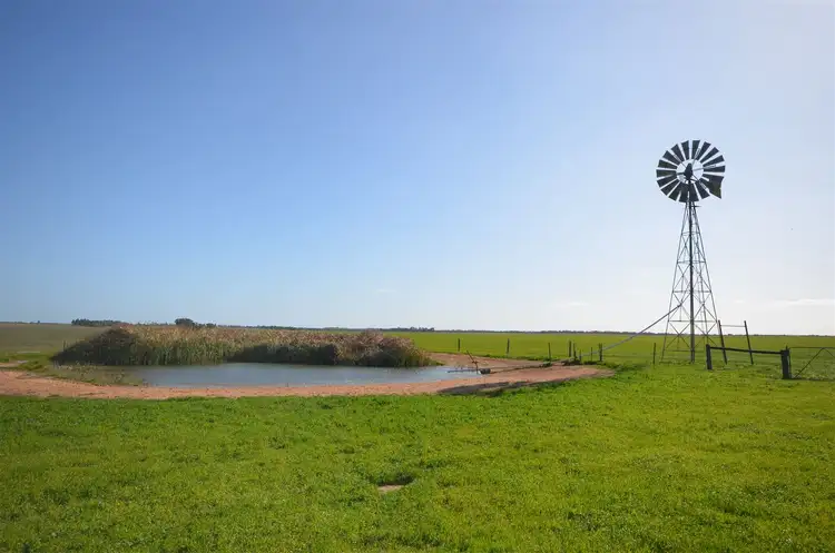 Second view of Homely rural property listing, 7716 Mallee Highway, Parrakie SA 5301