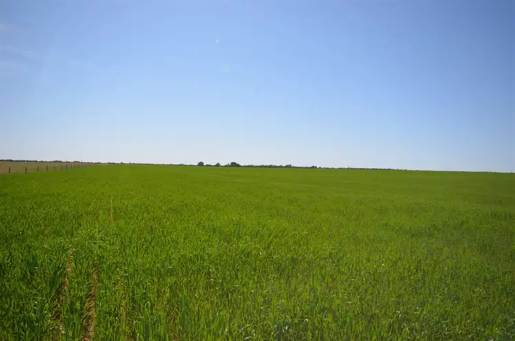 Third view of Homely rural property listing, 7716 Mallee Highway, Parrakie SA 5301