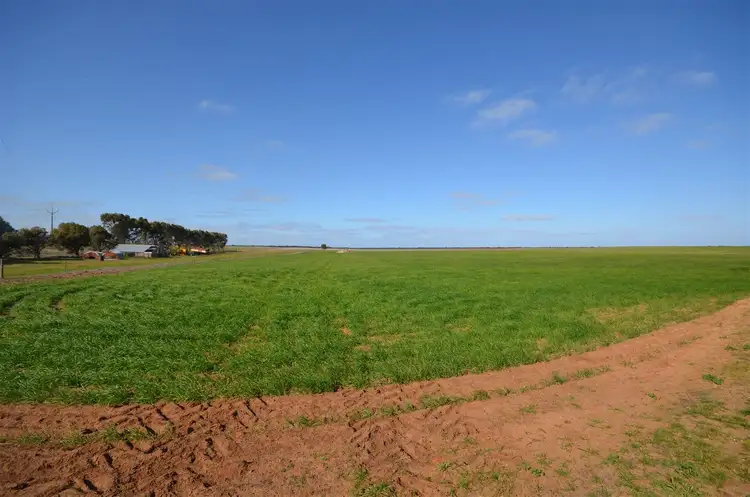 Fourth view of Homely rural property listing, 7716 Mallee Highway, Parrakie SA 5301