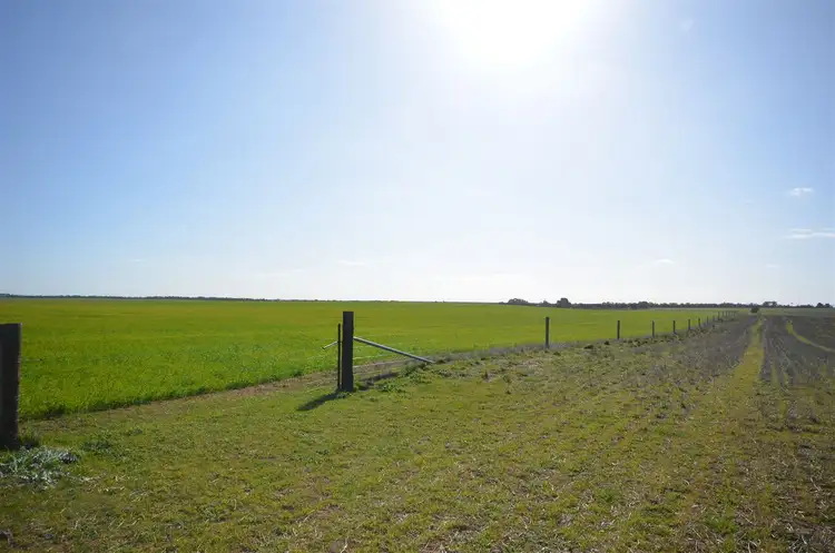 Fifth view of Homely rural property listing, 7716 Mallee Highway, Parrakie SA 5301