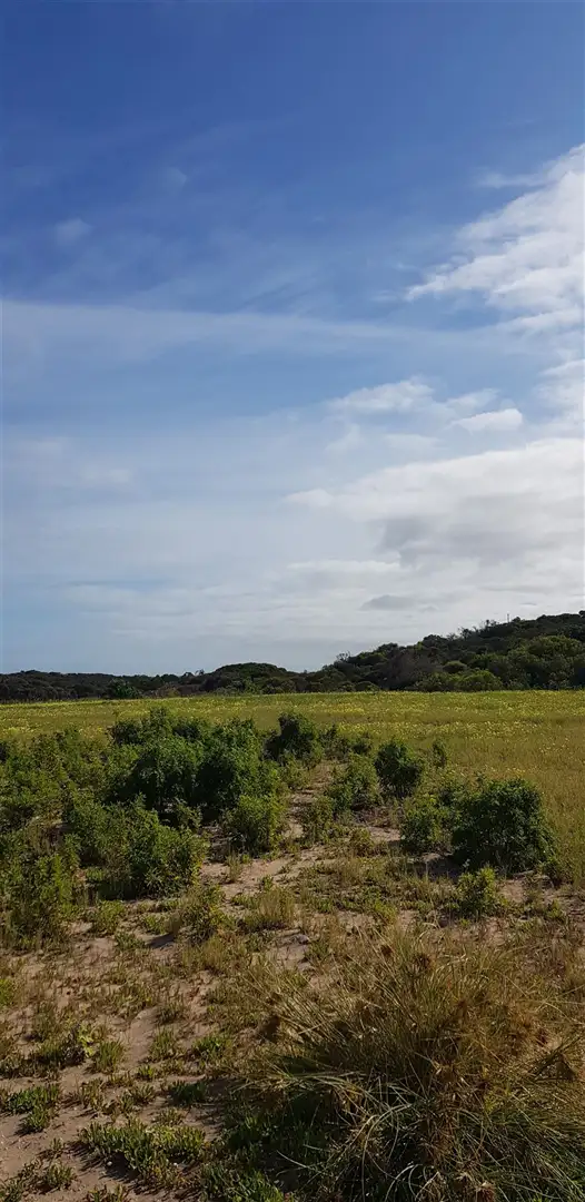 Sixth view of Homely land listing, 117 Northshore Dve, Dongara WA 6525