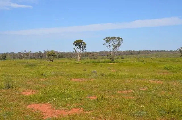 Fourth view of Homely rural property listing, * The Woolshed, Hermidale NSW 2831