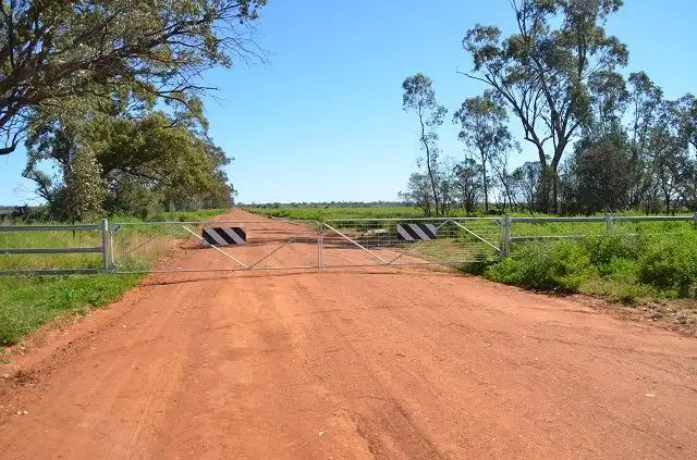 Main view of Homely rural property listing, * Cooper's, Hermidale NSW 2831