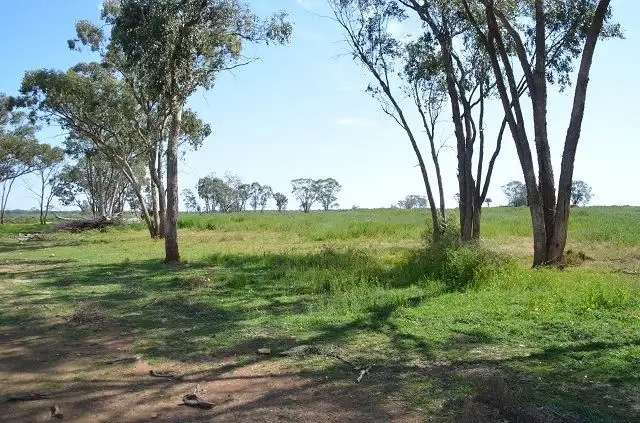 Third view of Homely rural property listing, * Cooper's, Hermidale NSW 2831