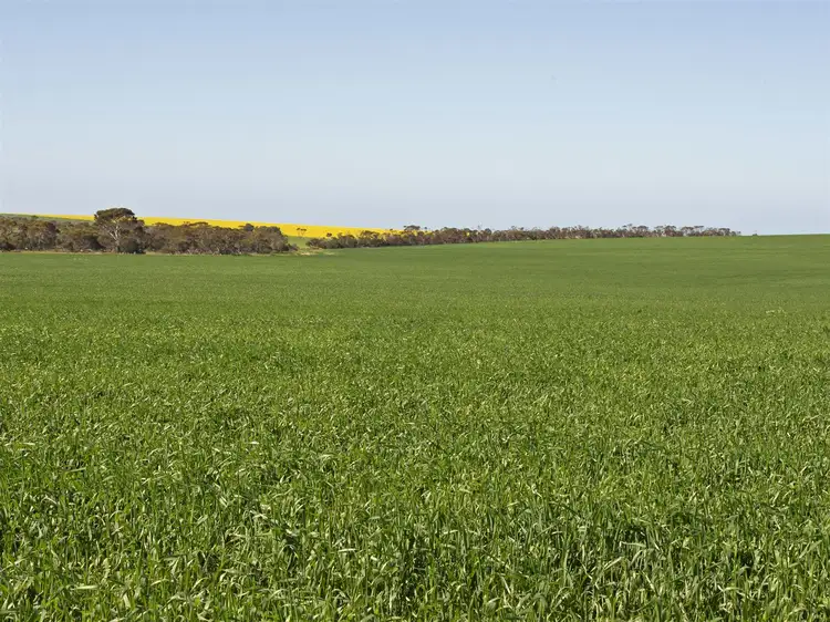 Second view of Homely rural property listing, Sect. 154 Dump Road, Ramsay via, Minlaton SA 5575