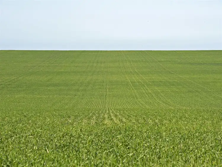 Third view of Homely rural property listing, Sect. 154 Dump Road, Ramsay via, Minlaton SA 5575