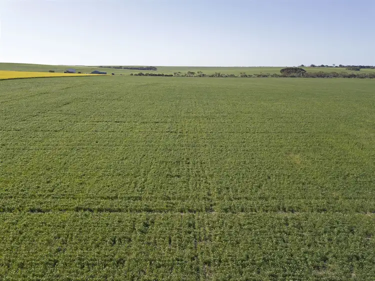 Fourth view of Homely rural property listing, Sect. 154 Dump Road, Ramsay via, Minlaton SA 5575