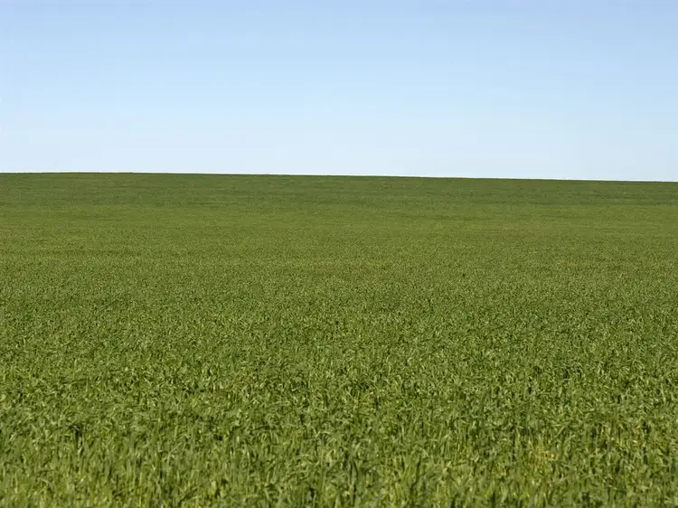 Sixth view of Homely rural property listing, Sect. 154 Dump Road, Ramsay via, Minlaton SA 5575