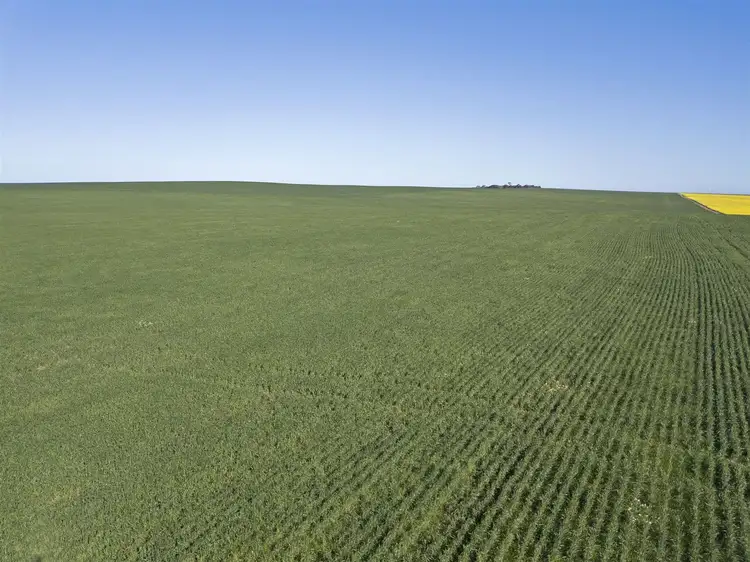 Seventh view of Homely rural property listing, Sect. 154 Dump Road, Ramsay via, Minlaton SA 5575