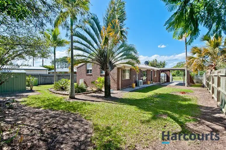 74 Buchanan Road