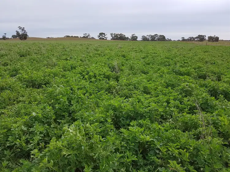 Second view of Homely rural property listing, 1 Dukes Highway, Culburra SA 5261