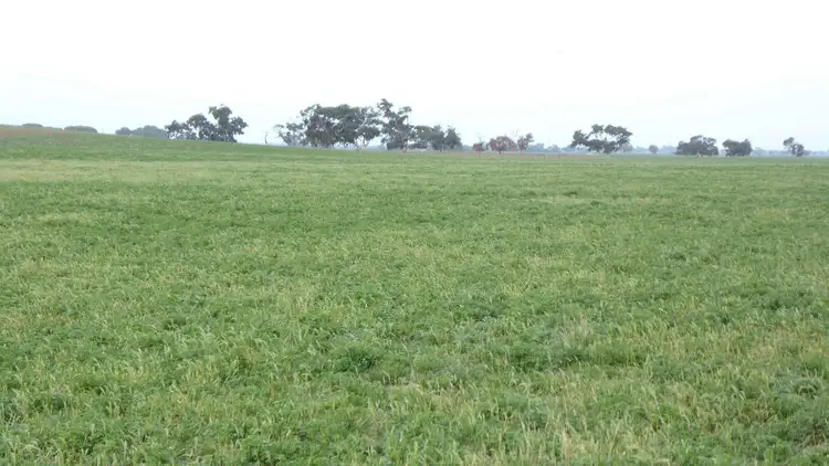 Fifth view of Homely rural property listing, 1 Dukes Highway, Culburra SA 5261