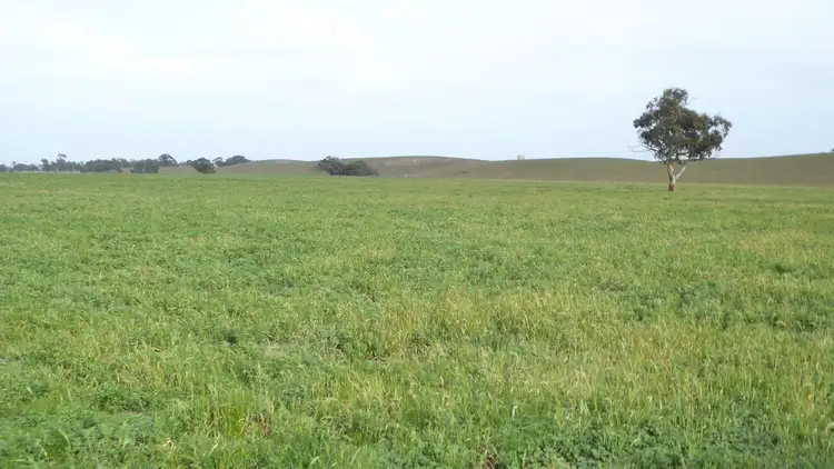 Sixth view of Homely rural property listing, 1 Dukes Highway, Culburra SA 5261