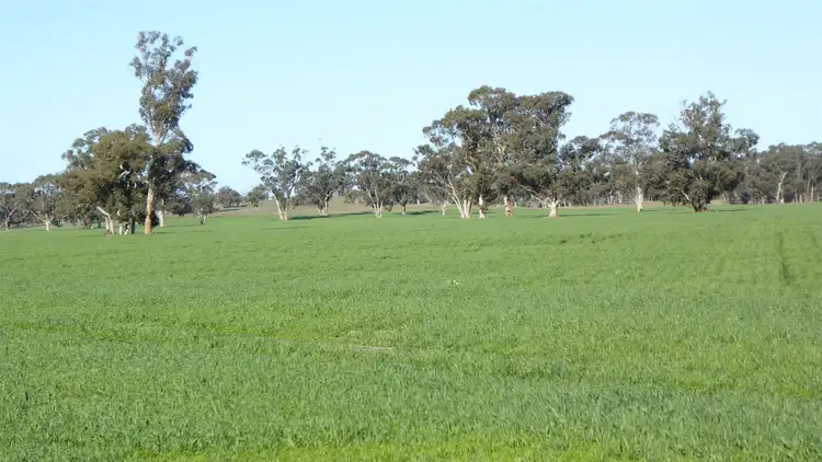 Fourth view of Homely rural property listing, 3373 Naracoorte Road, Bordertown SA 5268