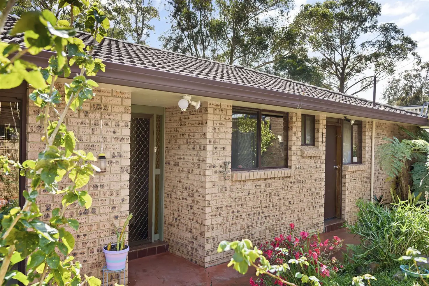 Main view of Homely house listing, 53 Wyoming Avenue, Burrill Lake NSW 2539