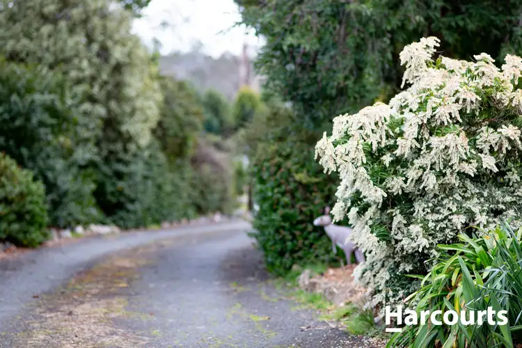 Second view of Homely house listing, 325 Winkleigh Road, Exeter TAS 7275