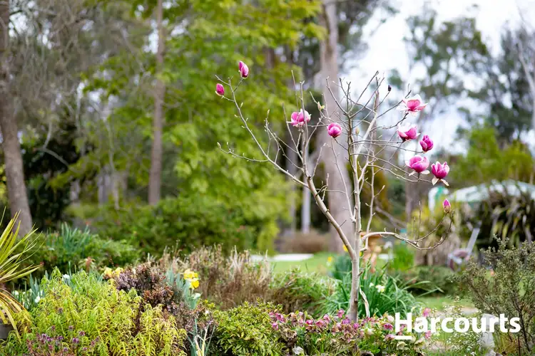 Third view of Homely house listing, 325 Winkleigh Road, Exeter TAS 7275