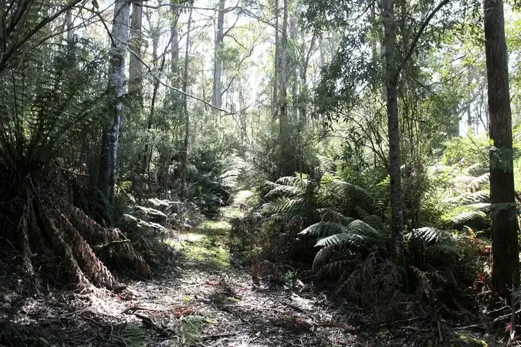 Second view of Homely land listing, PID 2794051 Poimena Road, Lottah TAS 7216