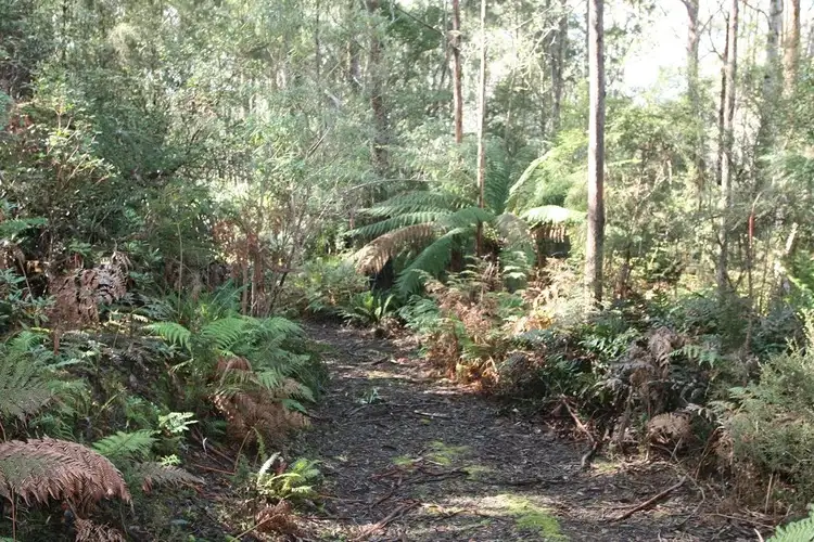 Third view of Homely land listing, PID 2794051 Poimena Road, Lottah TAS 7216