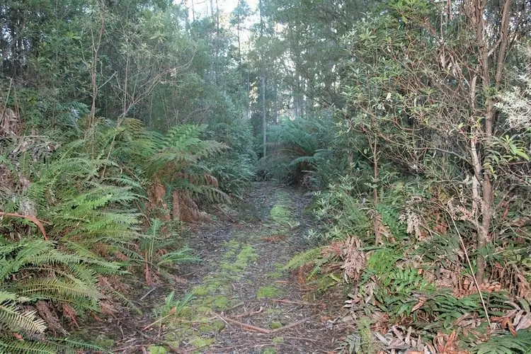 Fourth view of Homely land listing, PID 2794051 Poimena Road, Lottah TAS 7216