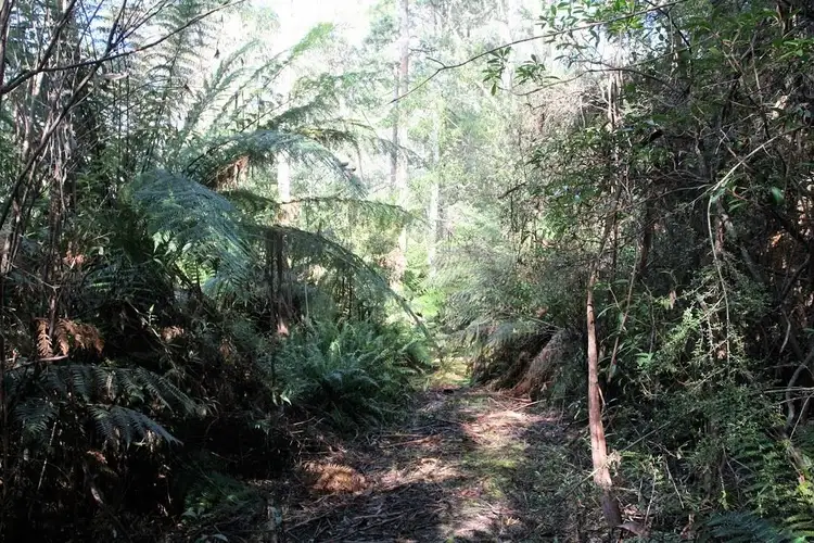 Fifth view of Homely land listing, PID 2794051 Poimena Road, Lottah TAS 7216