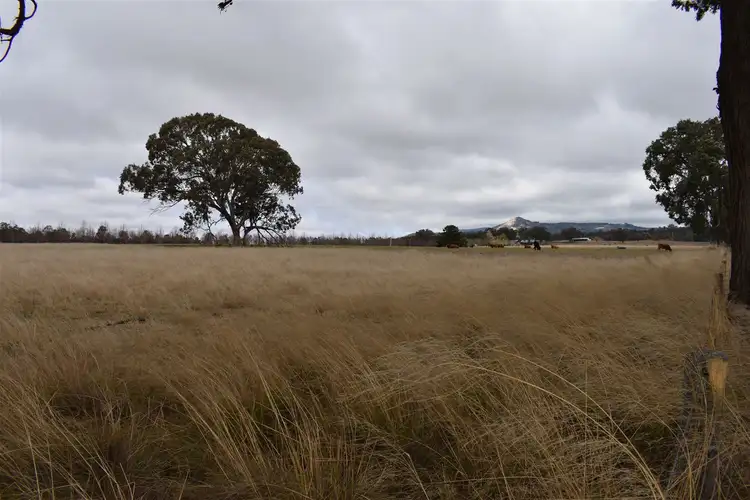 Second view of Homely rural property listing, 89 Haddocks Road, Tenterfield NSW 2372