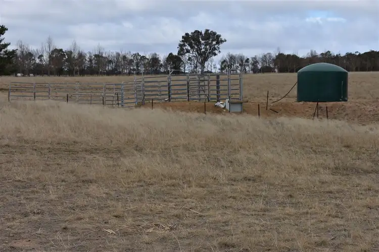 Fourth view of Homely rural property listing, 89 Haddocks Road, Tenterfield NSW 2372