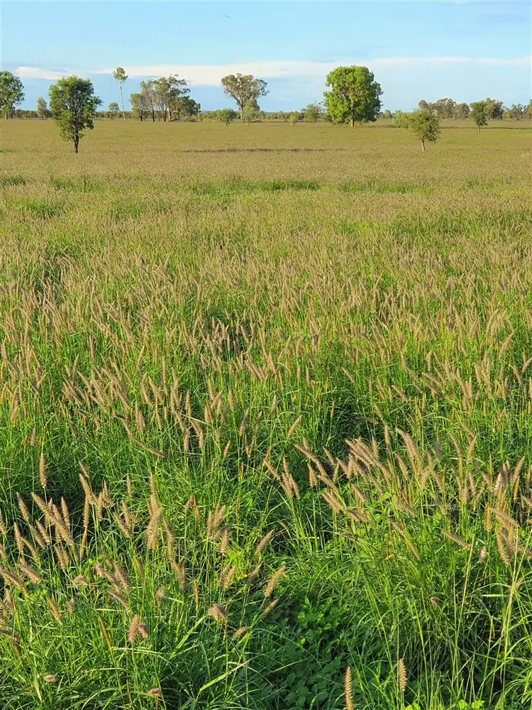 . "East Lynne", Mitchell QLD 4465