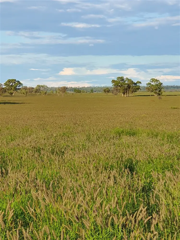 Second view of Homely rural property listing, . "East Lynne", Mitchell QLD 4465