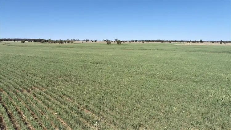 Fourth view of Homely rural property listing, . "East Lynne", Mitchell QLD 4465