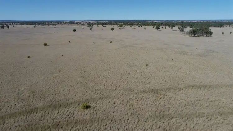 Sixth view of Homely rural property listing, . "East Lynne", Mitchell QLD 4465