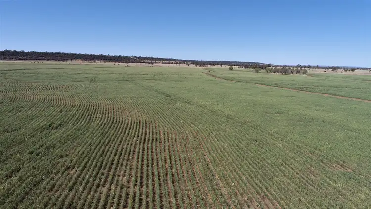 Seventh view of Homely rural property listing, . "East Lynne", Mitchell QLD 4465