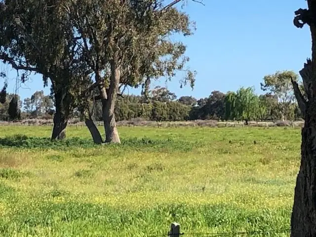 Second view of Homely rural property listing, 340 Mitchell Road, Echuca Village VIC 3564