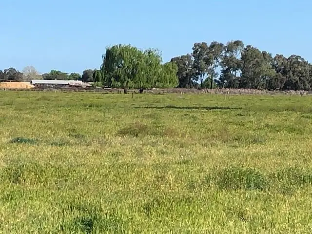 Fifth view of Homely rural property listing, 340 Mitchell Road, Echuca Village VIC 3564