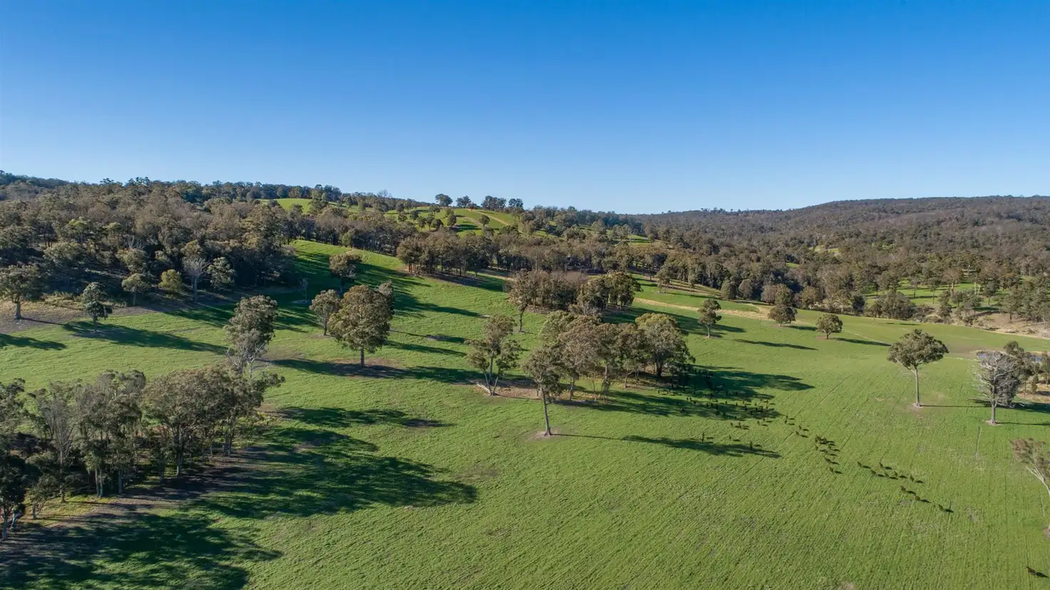 Main view of Homely rural property listing, 167 Lyndurst Road Thalgarrah, Armidale NSW 2350