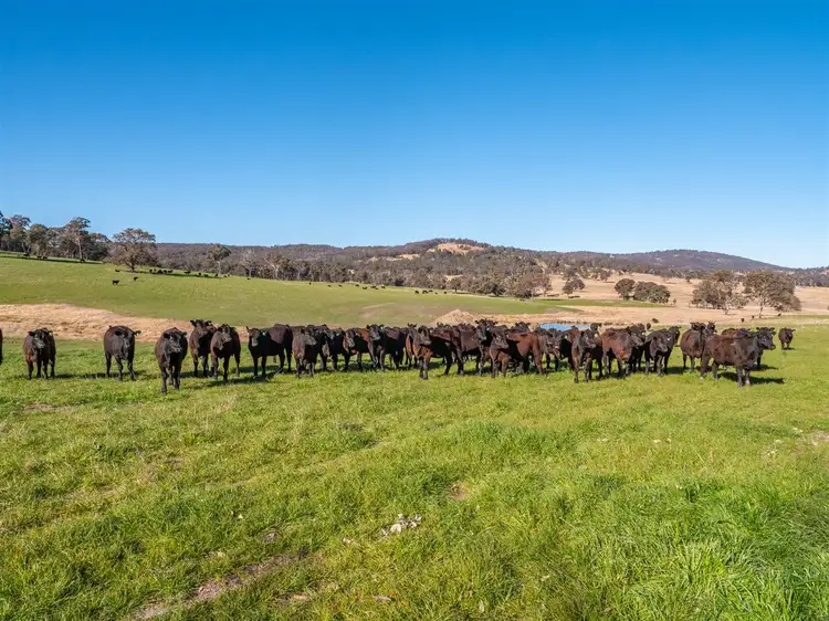 Third view of Homely rural property listing, 167 Lyndurst Road Thalgarrah, Armidale NSW 2350