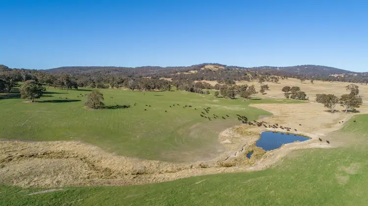 Fourth view of Homely rural property listing, 167 Lyndurst Road Thalgarrah, Armidale NSW 2350