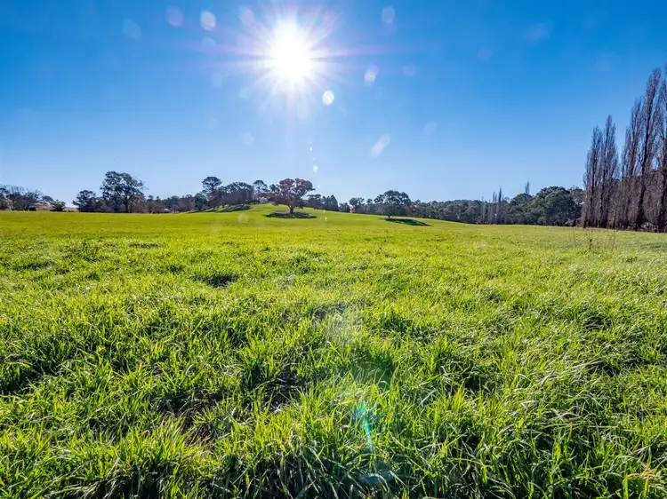 Fifth view of Homely rural property listing, 167 Lyndurst Road Thalgarrah, Armidale NSW 2350