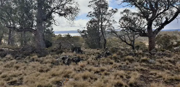 Third view of Homely land listing, 34 Johnsons Road, Miena TAS 7030