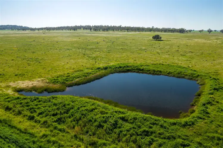 Second view of Homely rural property listing, "Strathnoon"  & "Bodels", West Wyalong NSW 2671